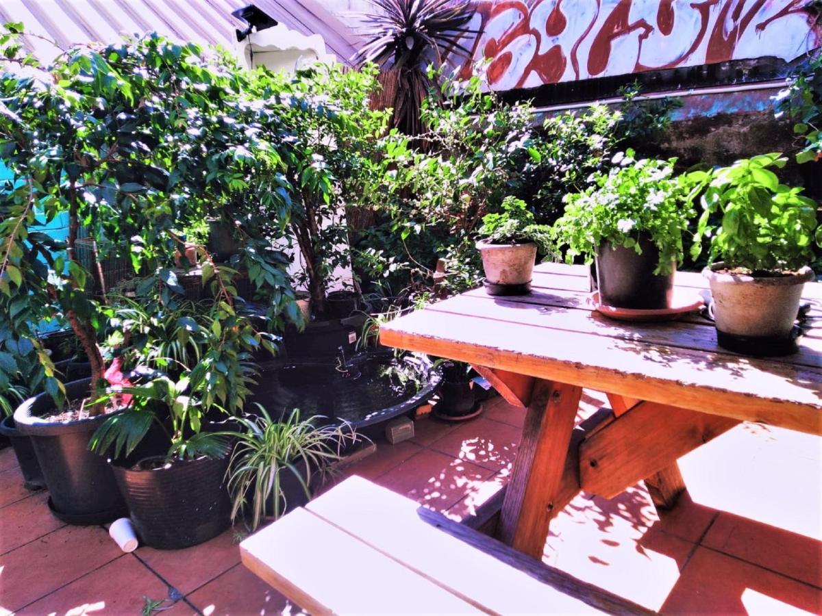 Asylum Sydney Backpackers Hostel Dış mekan fotoğraf