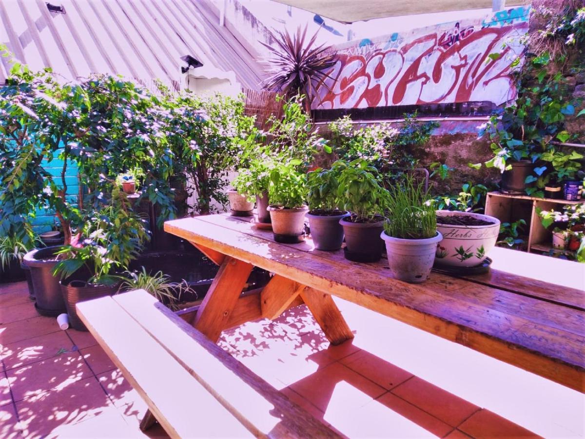 Asylum Sydney Backpackers Hostel Dış mekan fotoğraf
